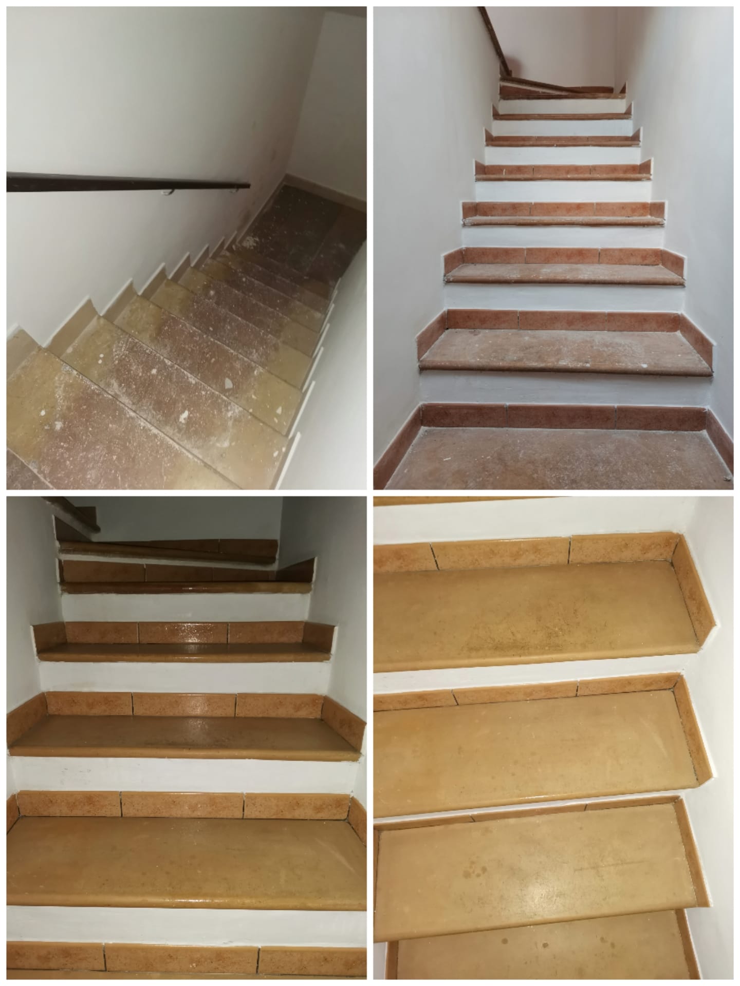 Imagen 131895757_1111977825900083_9069551113181306002_n.jpg