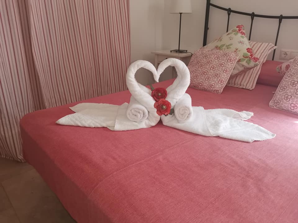 Imagen 471267449_2051029125328277_8290928494371823471_n.jpg