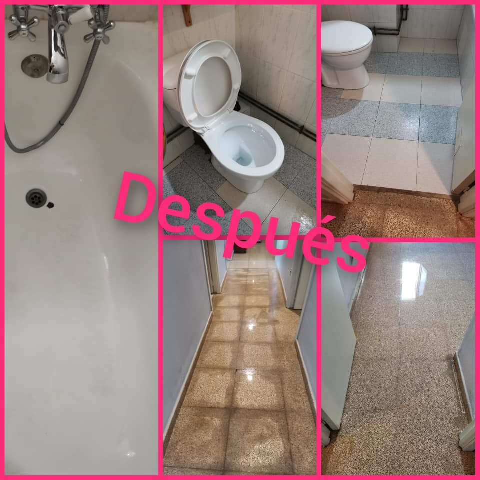 Imagen 472291172_2059428061155050_2474477813324047227_n.jpg